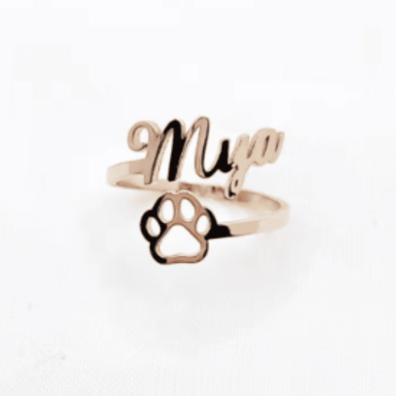 Pawscript Memory Ring
